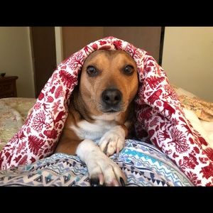 Meet your Posher, Cathy